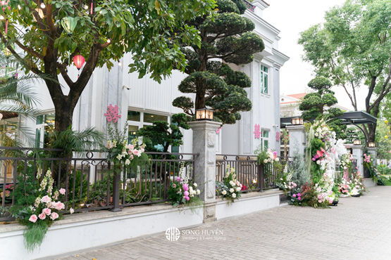 Concept Timeless Bloom 00008