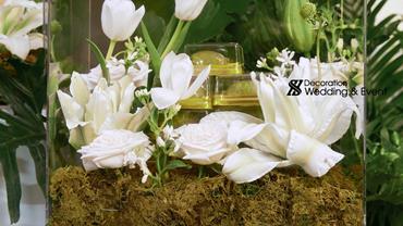 TRÁP ĂN HỎI CRYSTAL 00002