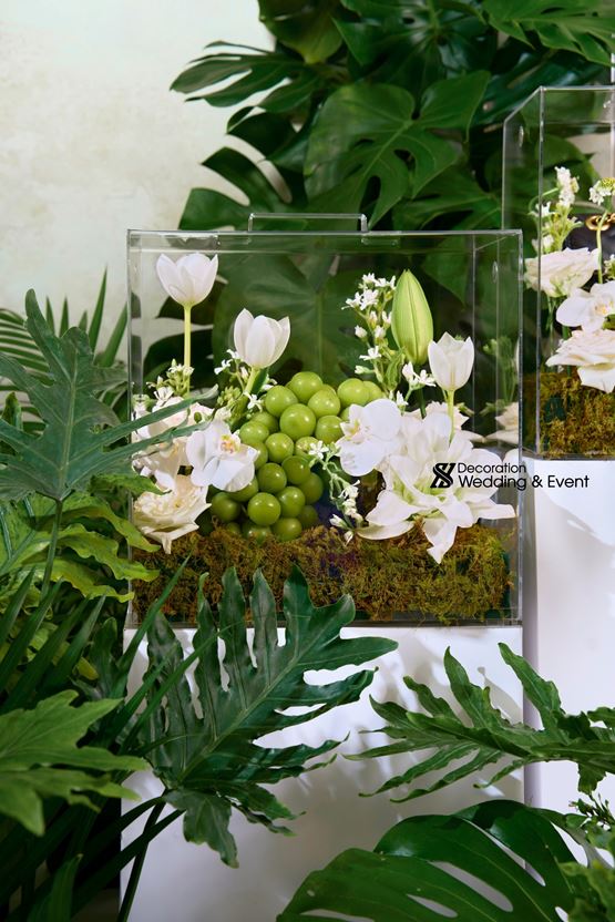 TRÁP ĂN HỎI CRYSTAL 00004
