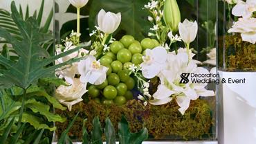 TRÁP ĂN HỎI CRYSTAL 00004