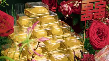 TRÁP ĂN HỎI NƠ ĐỎ 00003
