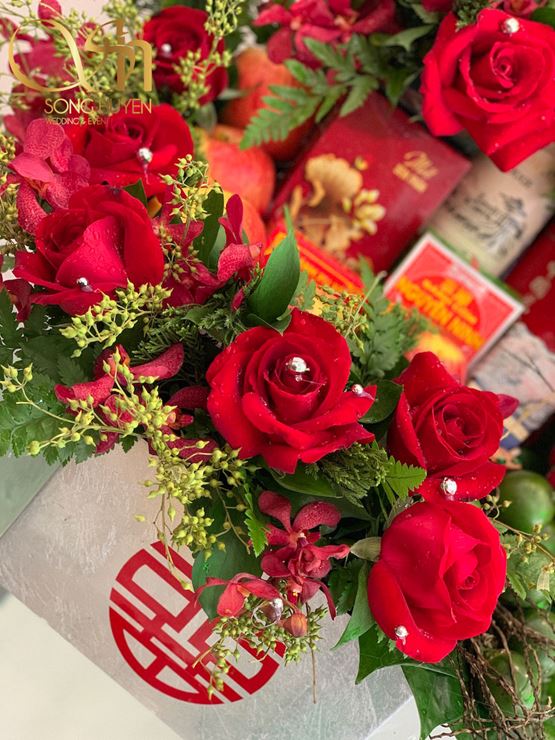 ảnh tráp dạm ngõ 2019 00000