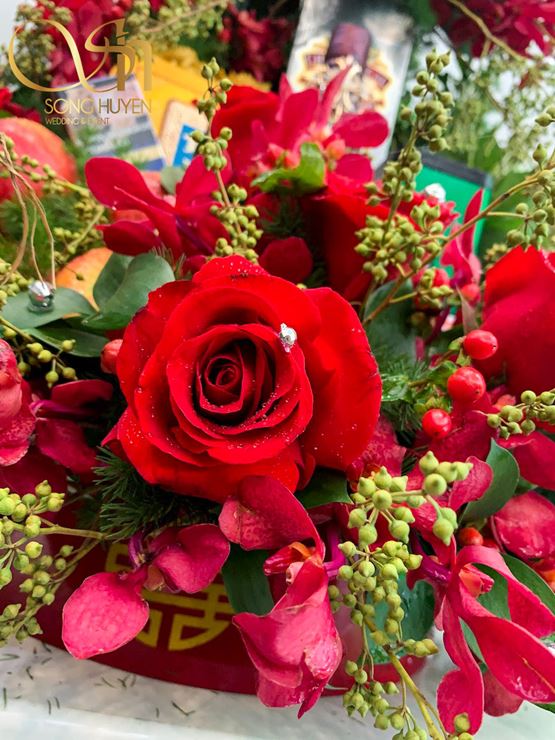 ảnh tráp dạm ngõ 2019 00007